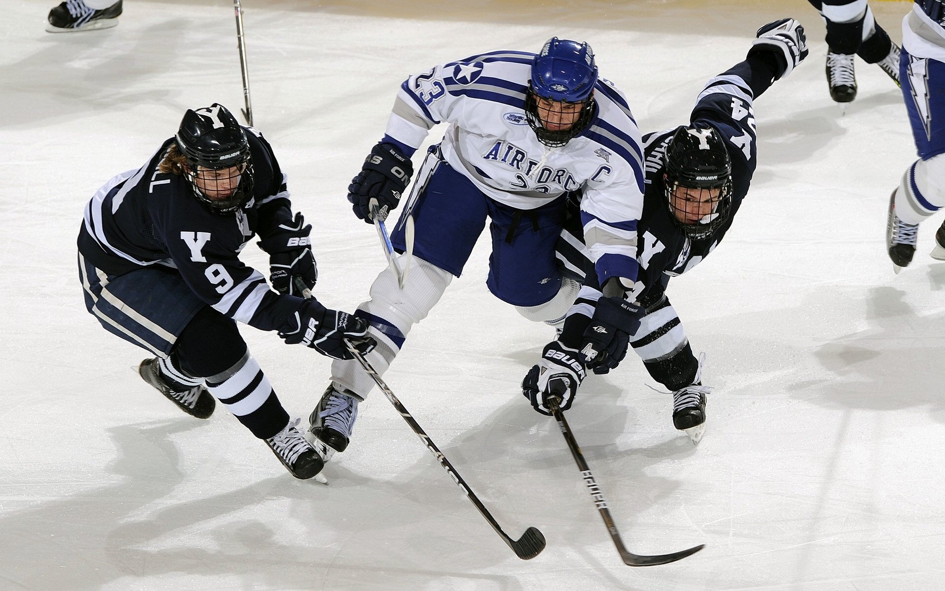 “未来无可限量：新秀崭露头角的剧烈演变”，新秀什么